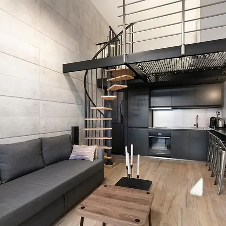 Loft Industriel Avec Terrasse Et Filet Suspendu A Cimiez