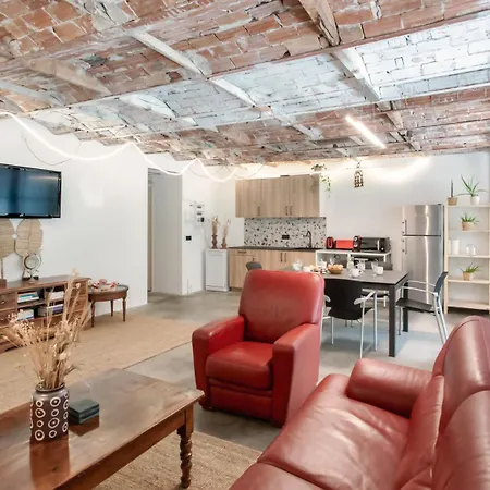 Cimiez Loft Apartament